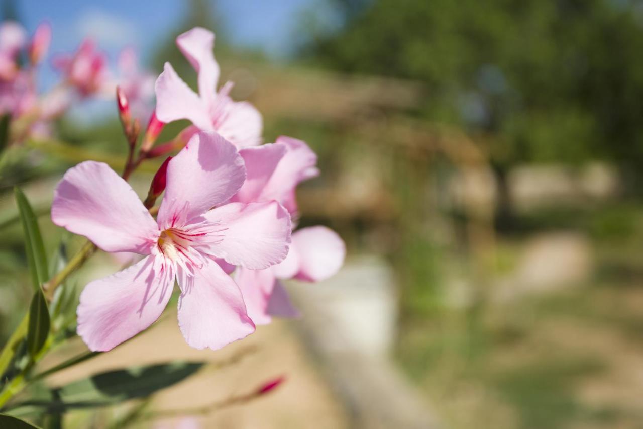 Las Mariposas Σαν Αντόνιο Εξωτερικό φωτογραφία